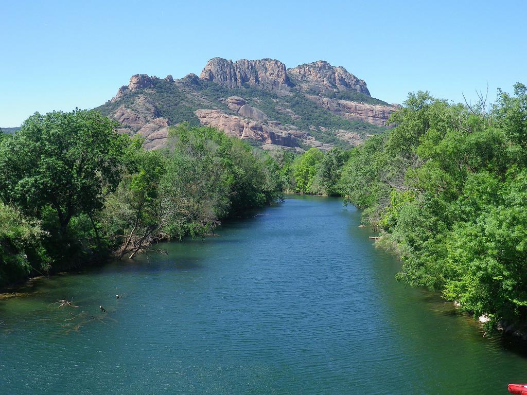 Chez Catherine Roquebrune-sur Argens Εξωτερικό φωτογραφία